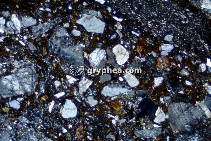 Rhyolite LPA x6,3 - gryphea.org